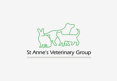 Pure Breed vs Mixed Breed Considerations