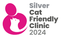 200 pixels CFC logo Silver 2024