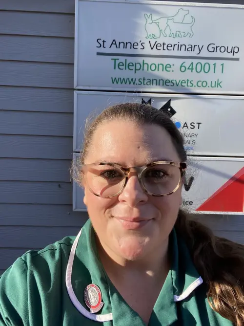 St Annes Vets warns pet owners in Sussex to be aware of Christmas hazards to avoid emergencies