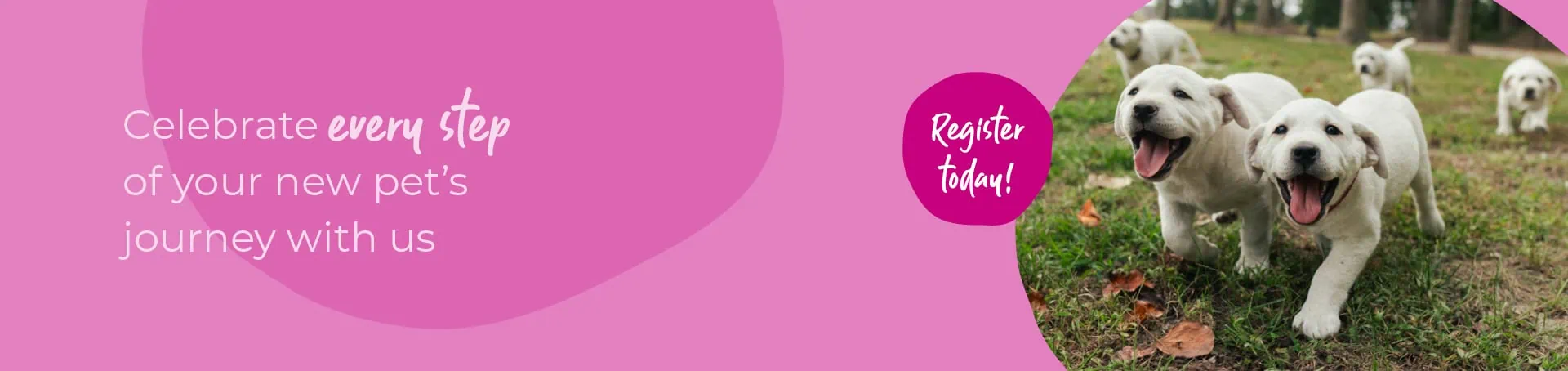 Start of Life for Your Puppy or Kitten